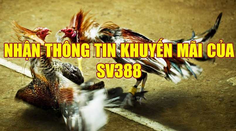 4 bước nạp tiền sv388 đơn giản để nhận quà khủng từ nhà cái 4 bước nạp tiền sv388 đơn giản để nhận quà khủng từ nhà cái